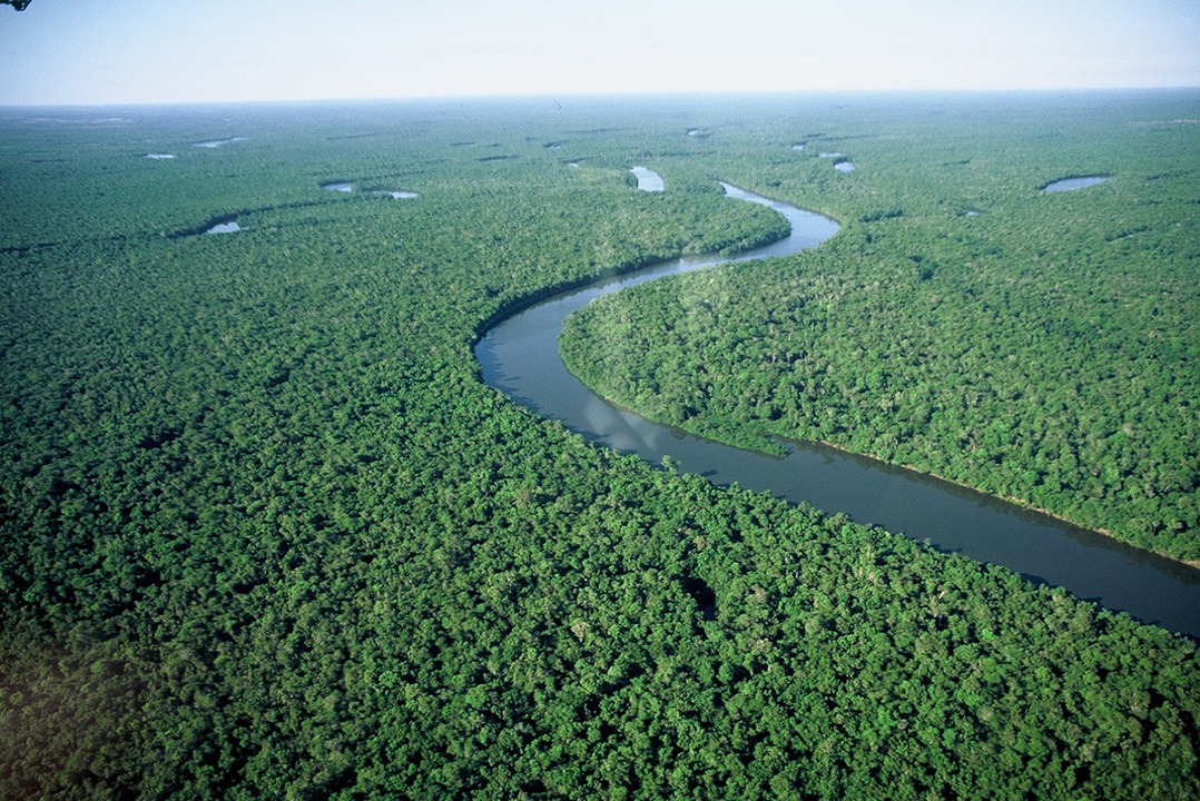 Ecologia e Conservação da Onça-Pintada na região do Parque Nacional do Viruá – Roraima